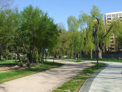 Прикрепленное изображение: sn6.jpg